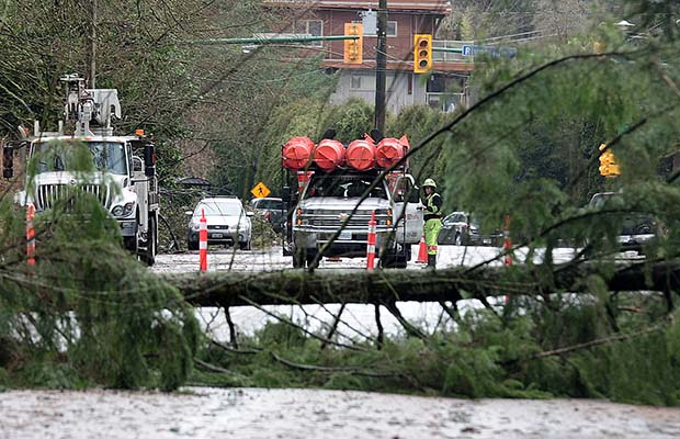 NORTH VANCOUVER, BC., March 10, 2016 -- Crews deal with a fallen tree on Old Dollarton Highway and Forester St in North Vancouver, BC., March 10, 2016. (Nick Procaylo/PNG) 00042166A [PNG Merlin Archive]