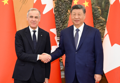 油菜籽换来电动车！回国不用签证了！全是好消息！