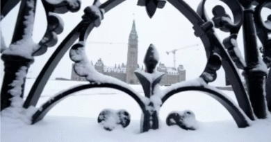 2026新规落地，移民与减税大变化！直接影响生活