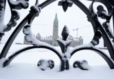 2026新规落地，移民与减税大变化！直接影响生活