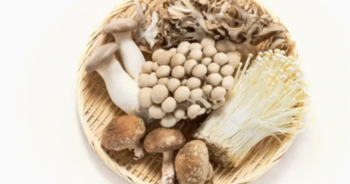 菇类别再洗，有隐藏功效3步骤留下最多营养