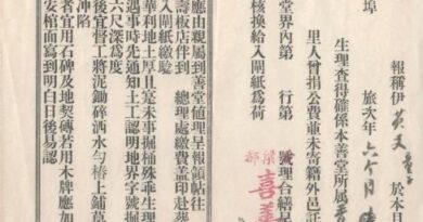 一张入闸票，藏着美国华侨的百年归乡梦